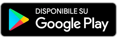 IT-google-badge